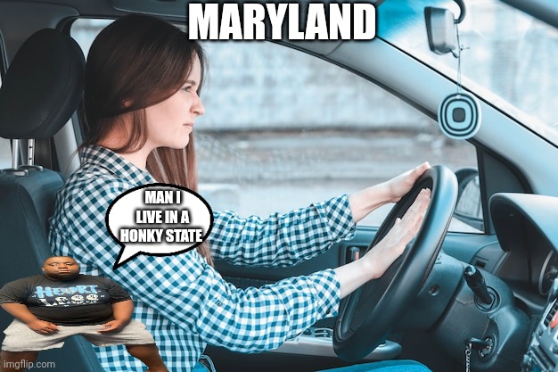 Woman honks car horn | MARYLAND; MAN I LIVE IN A HONKY STATE | image tagged in woman honks car horn | made w/ Imgflip meme maker