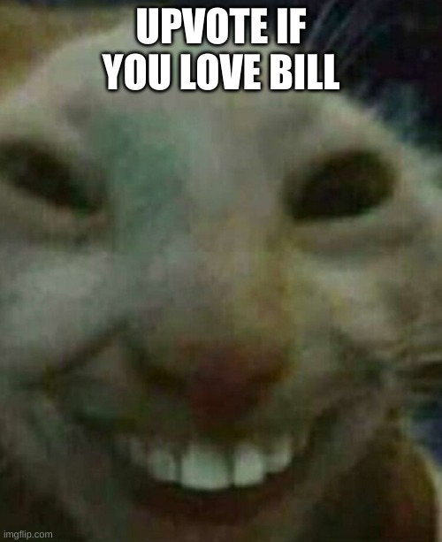 Cat smiling | UPVOTE IF YOU LOVE BILL | image tagged in cat smiling | made w/ Imgflip meme maker