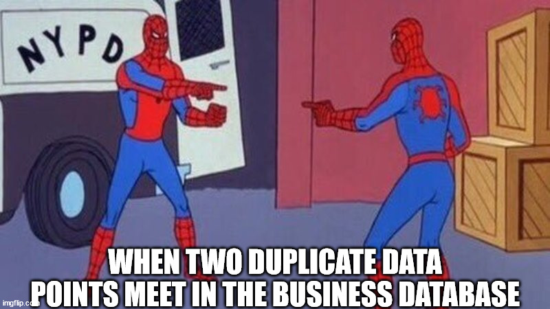 Spider man duplicate | WHEN TWO DUPLICATE DATA POINTS MEET IN THE BUSINESS DATABASE | image tagged in spider man duplicate | made w/ Imgflip meme maker