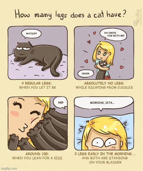 The 2nd panel is so cute yet hilarious XD | made w/ Imgflip meme maker