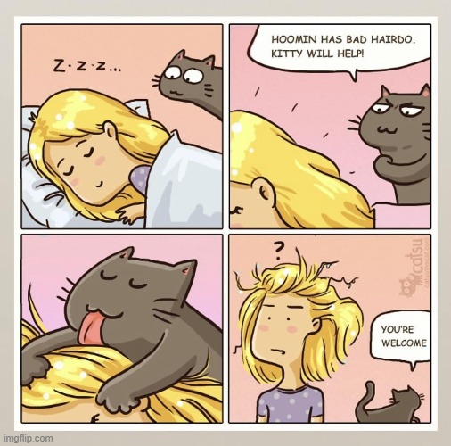 The power of cat-cleaning will surely help... @_@ | made w/ Imgflip meme maker