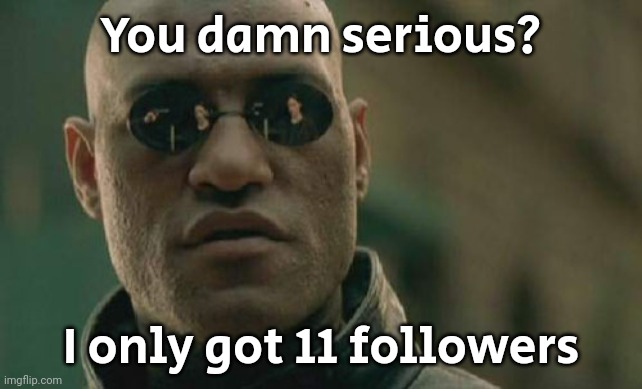 Matrix Morpheus Meme | You damn serious? I only got 11 followers | image tagged in memes,matrix morpheus | made w/ Imgflip meme maker