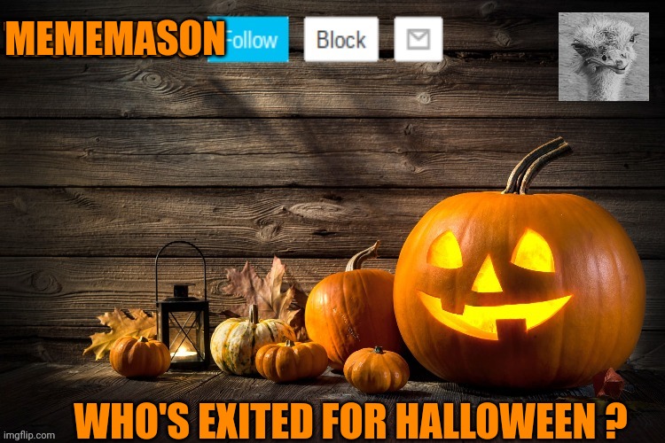 Wutbird Halloween announcement | MEMEMASON; WHO'S EXITED FOR HALLOWEEN ? | image tagged in wutbird halloween announcement | made w/ Imgflip meme maker