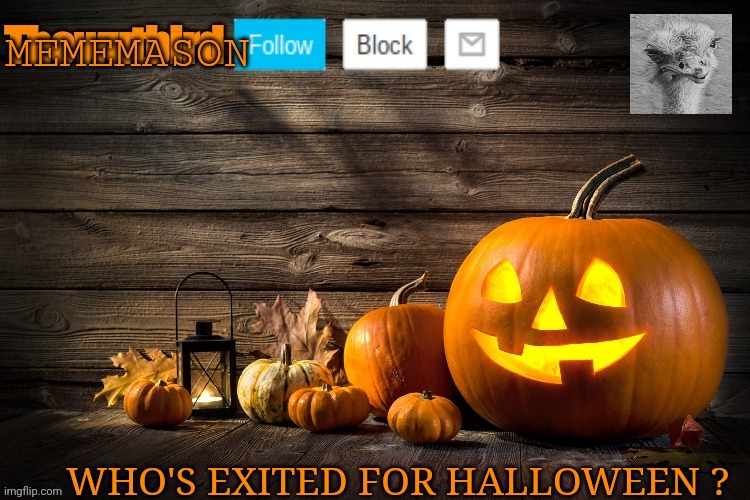 Wutbird Halloween announcement | MEMEMASON; WHO'S EXITED FOR HALLOWEEN ? | image tagged in wutbird halloween announcement | made w/ Imgflip meme maker