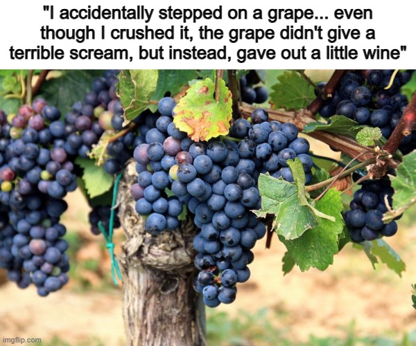 Haha XD | "I accidentally stepped on a grape... even though I crushed it, the grape didn't give a terrible scream, but instead, gave out a little wine" | made w/ Imgflip meme maker