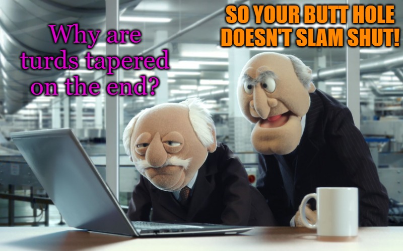 SO YOUR BUTT HOLE DOESN'T SLAM SHUT! Why are turds tapered on the end? | image tagged in muppets | made w/ Imgflip meme maker