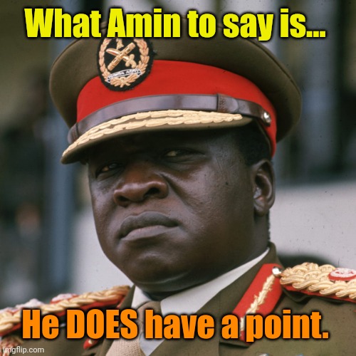 What Amin to say is... | What Amin to say is... He DOES have a point. | image tagged in what amin to say is | made w/ Imgflip meme maker