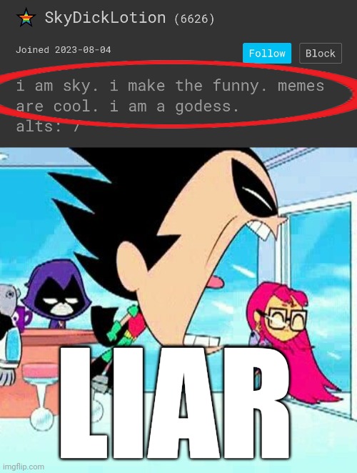 LIAR | image tagged in robin yelling at starfire | made w/ Imgflip meme maker