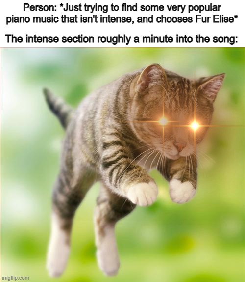 I started listening to this song a few days ago, and this part took me by surprise XD | Person: *Just trying to find some very popular piano music that isn't intense, and chooses Fur Elise*; The intense section roughly a minute into the song: | image tagged in pouncing intensifies | made w/ Imgflip meme maker
