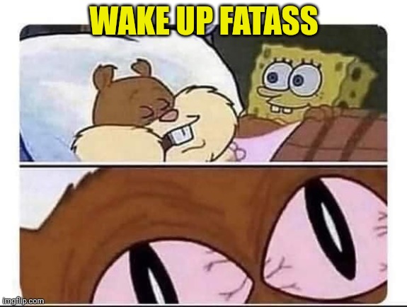 He bout to die | WAKE UP FATASS | image tagged in sandy wakes up,spongebob,never wake her up this way,fatass | made w/ Imgflip meme maker