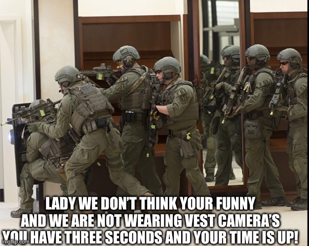 FBI SWAT | LADY WE DON’T THINK YOUR FUNNY AND WE ARE NOT WEARING VEST CAMERA’S YOU HAVE THREE SECONDS AND YOUR TIME IS UP! | image tagged in fbi swat | made w/ Imgflip meme maker