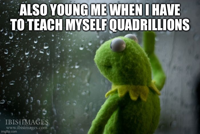 kermit window | ALSO YOUNG ME WHEN I HAVE TO TEACH MYSELF QUADRILLIONS | image tagged in kermit window | made w/ Imgflip meme maker