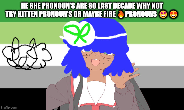 Aromantic Flag | HE SHE PRONOUN'S ARE SO LAST DECADE WHY NOT TRY KITTEN PRONOUN'S OR MAYBE FIRE 🔥PRONOUNS 🤩😍 | image tagged in aromantic flag | made w/ Imgflip meme maker