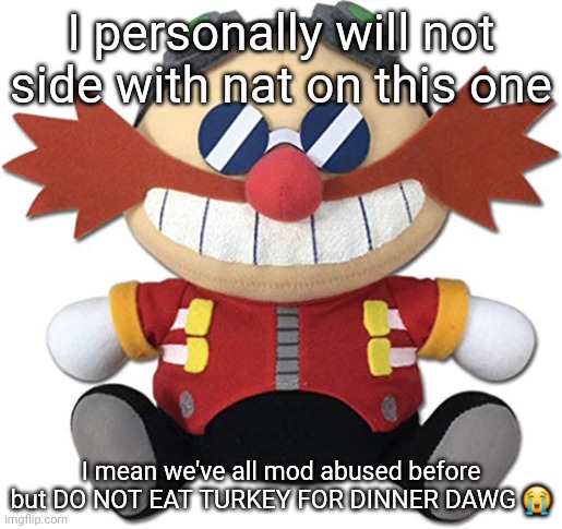 Eggman plush | I personally will not side with nat on this one; I mean we've all mod abused before but DO NOT EAT TURKEY FOR DINNER DAWG 😭 | image tagged in eggman plush | made w/ Imgflip meme maker