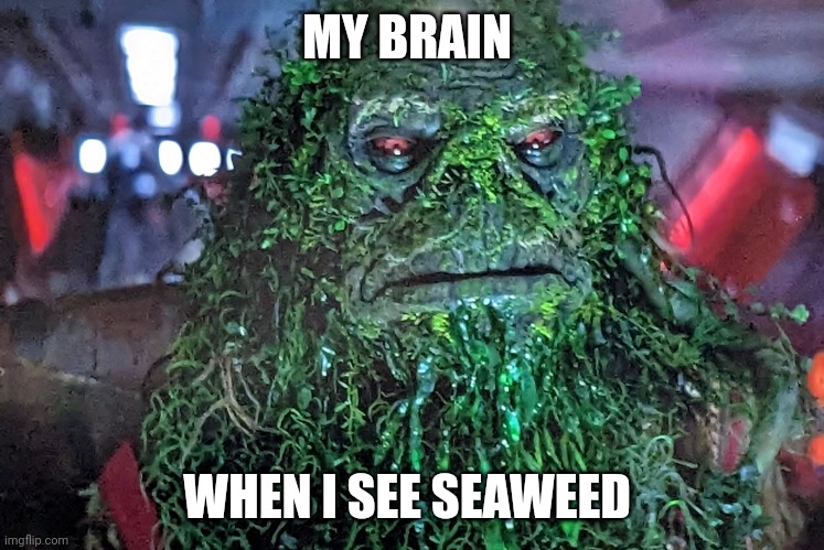 I just spotted some seaweed | MY BRAIN; WHEN I SEE SEAWEED | image tagged in walking pirate seaweed | made w/ Imgflip meme maker