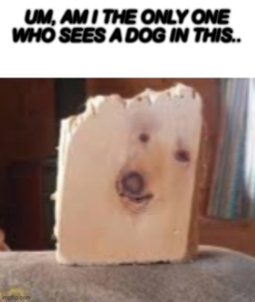 I “wood” take them to the vet | UM, AM I THE ONLY ONE WHO SEES A DOG IN THIS.. | image tagged in bruh,memes | made w/ Imgflip meme maker