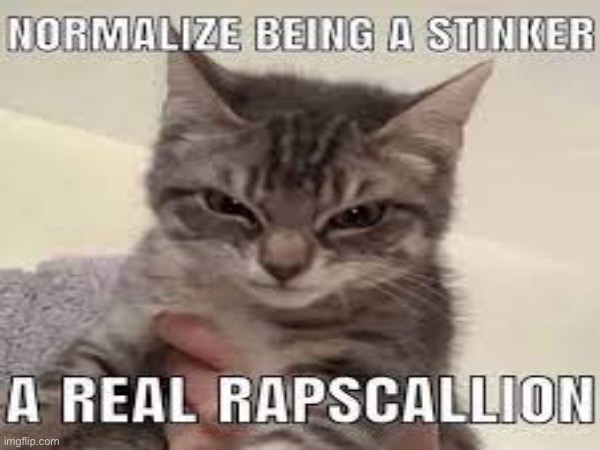 Why is he devious | image tagged in cats,angry cat,mad cat,evil,evil cat,scary | made w/ Imgflip meme maker