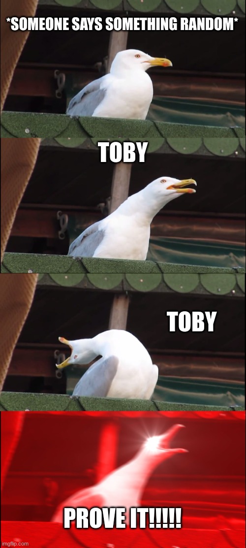 gc #6 | *SOMEONE SAYS SOMETHING RANDOM*; TOBY; TOBY; PROVE IT!!!!! | image tagged in memes,inhaling seagull | made w/ Imgflip meme maker