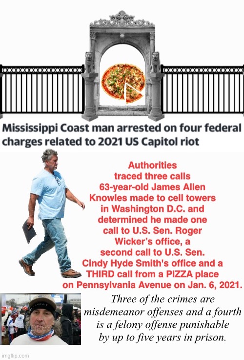 Capitol Pizza | image tagged in adrenochrome,just sayin',domestic terrorists,safety in numbers,treason,losers | made w/ Imgflip meme maker