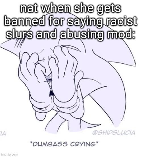sonic dumbass crying | nat when she gets banned for saying racist slurs and abusing mod: | image tagged in sonic dumbass crying | made w/ Imgflip meme maker