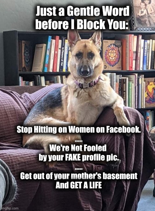 Stop Hitting on Women | Just a Gentle Word
before I Block You:; Stop Hitting on Women on Facebook.
.....

We're Not Fooled 
by your FAKE profile pic.
.....
Get out of your mother's basement
And GET A LIFE | image tagged in not fooled,get a life | made w/ Imgflip meme maker