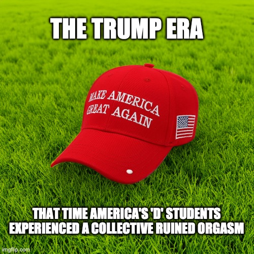 The Trump Era | THE TRUMP ERA; THAT TIME AMERICA'S 'D' STUDENTS EXPERIENCED A COLLECTIVE RUINED ORGASM | image tagged in maga hat in field | made w/ Imgflip meme maker