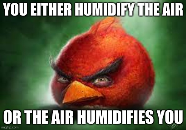 o | YOU EITHER HUMIDIFY THE AIR; OR THE AIR HUMIDIFIES YOU | image tagged in realistic red angry birds | made w/ Imgflip meme maker