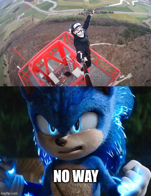Sonic the hedgehog, no way meme | NO WAY | image tagged in sonic lattice climbing,germany,gittersteigen,latticeclimbing,memes,sonic | made w/ Imgflip meme maker