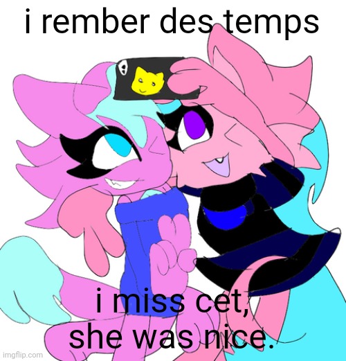 kitty and fly 2 | i rember des temps; i miss cet, she was nice. | image tagged in kitty and fly 2 | made w/ Imgflip meme maker