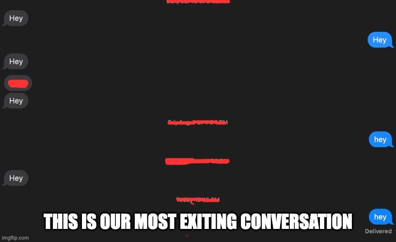 idk | THIS IS OUR MOST EXITING CONVERSATION | image tagged in hey,fun,funny | made w/ Imgflip meme maker
