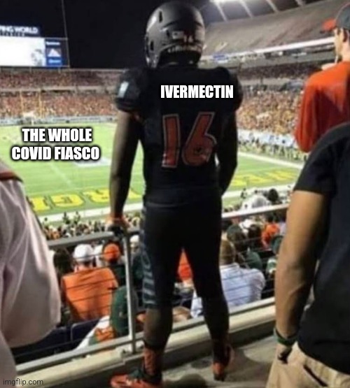 How x feel | IVERMECTIN; THE WHOLE COVID FIASCO | image tagged in how x feel,funny memes | made w/ Imgflip meme maker