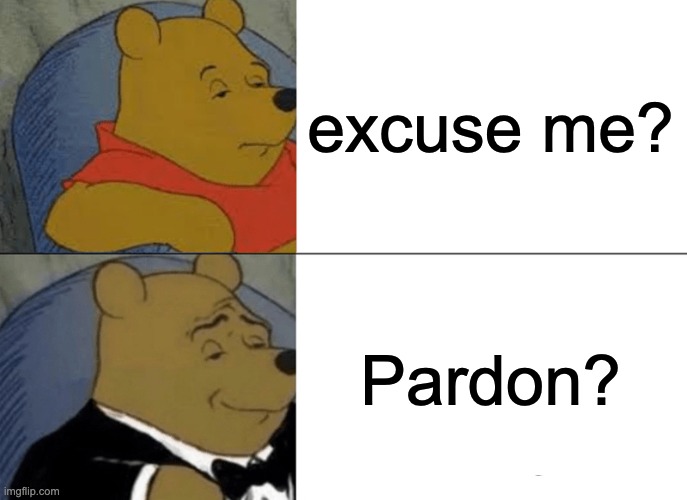 Tuxedo Winnie The Pooh Meme | excuse me? Pardon? | image tagged in memes,tuxedo winnie the pooh | made w/ Imgflip meme maker
