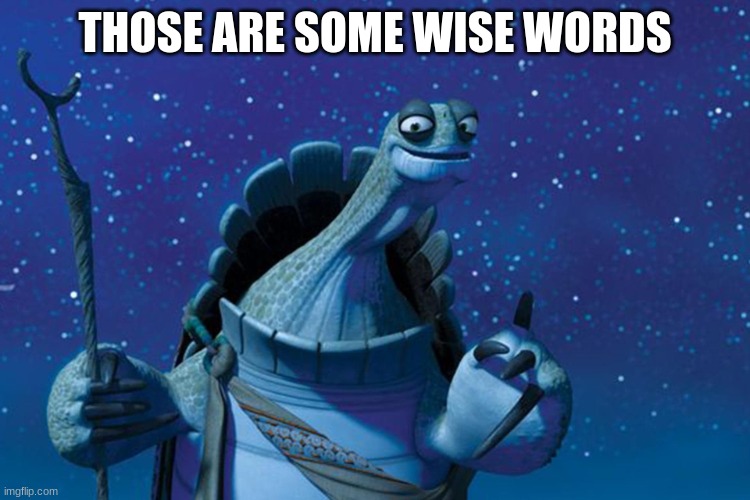 Master Oogway | THOSE ARE SOME WISE WORDS | image tagged in master oogway | made w/ Imgflip meme maker