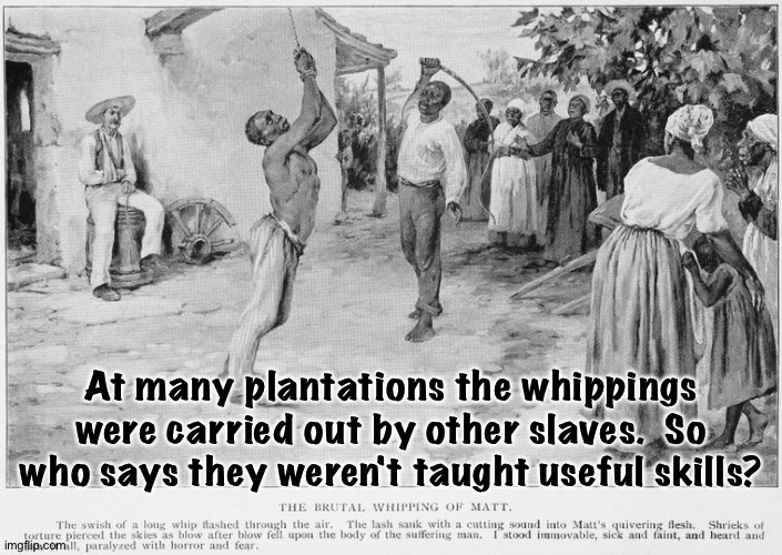 "Useful skills" | At many plantations the whippings were carried out by other slaves.  So who says they weren't taught useful skills? | image tagged in slave whipping slave | made w/ Imgflip meme maker