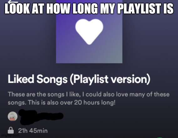 I like many songs because I love music! | LOOK AT HOW LONG MY PLAYLIST IS | made w/ Imgflip meme maker