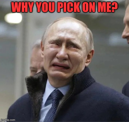 Putin crying | WHY YOU PICK ON ME? | image tagged in putin crying | made w/ Imgflip meme maker