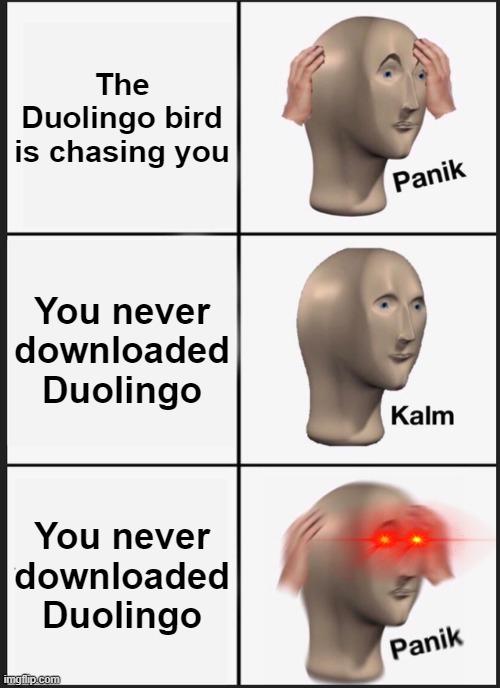 When You Don't Download Duolingo | The Duolingo bird is chasing you; You never downloaded Duolingo; You never downloaded Duolingo | image tagged in memes,panik kalm panik,duolingo bird,duolingo,he's too dangerous to be left alive,fun | made w/ Imgflip meme maker