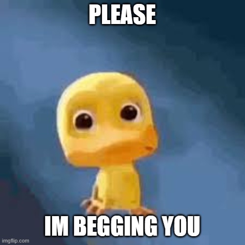 Crying duck | PLEASE IM BEGGING YOU | image tagged in crying duck | made w/ Imgflip meme maker