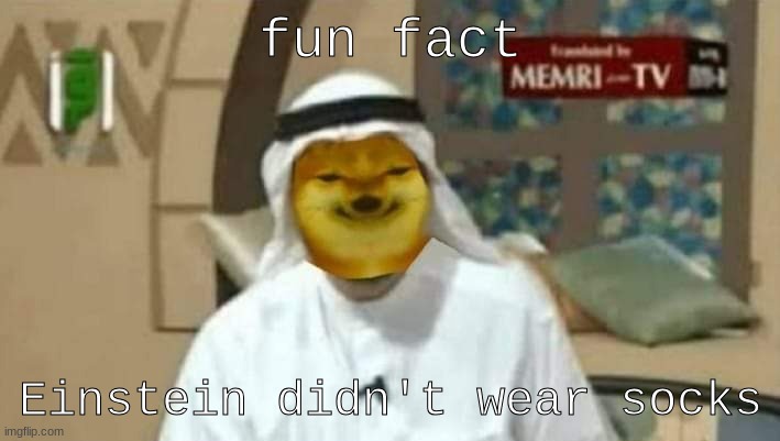 Muslim Arab Doge | fun fact; Einstein didn't wear socks | image tagged in muslim arab doge | made w/ Imgflip meme maker