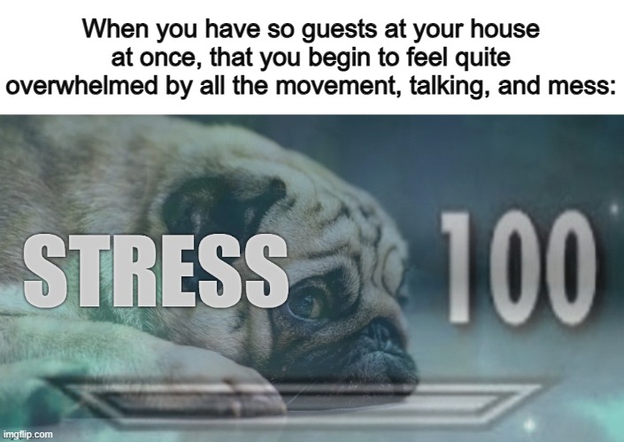 Me rn :/ | When you have so guests at your house at once, that you begin to feel quite overwhelmed by all the movement, talking, and mess: | made w/ Imgflip meme maker
