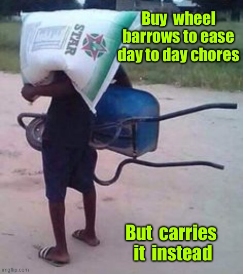 Carries his wheelbarrow | Buy  wheel barrows to ease day to day chores; But  carries  it  instead | image tagged in we bought wheelbarrows,ease their lives,carries it,one job | made w/ Imgflip meme maker