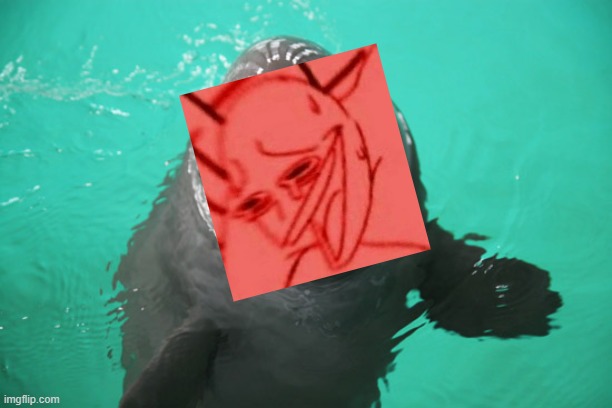 Perspective Porpoise | image tagged in perspective porpoise | made w/ Imgflip meme maker