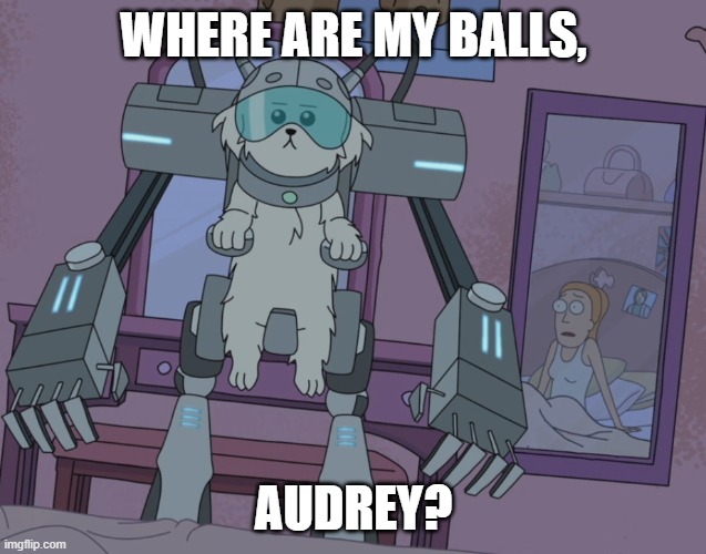 Where are my testicles summer  | WHERE ARE MY BALLS, AUDREY? | image tagged in where are my testicles summer,harvey street kids,harvey girls forever | made w/ Imgflip meme maker