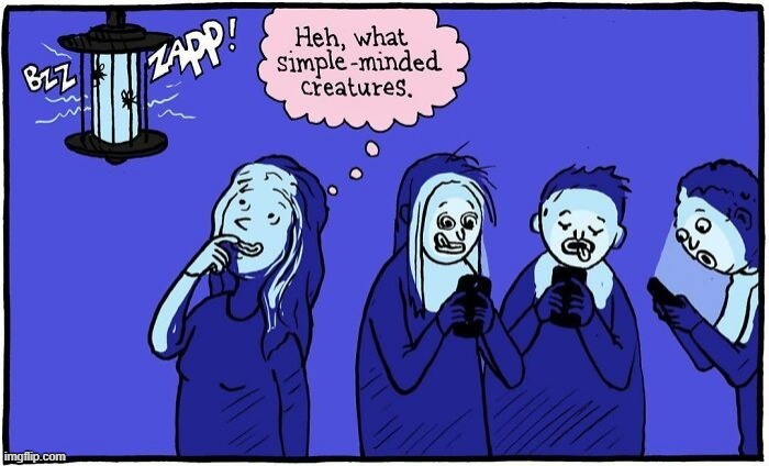 Stupid Creatures | image tagged in comics | made w/ Imgflip meme maker