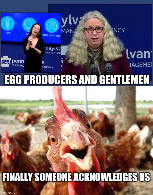 Egg producers | EGG PRODUCERS AND GENTLEMEN; FINALLY SOMEONE ACKNOWLEDGES US | image tagged in dr rachel levine,chicken | made w/ Imgflip meme maker