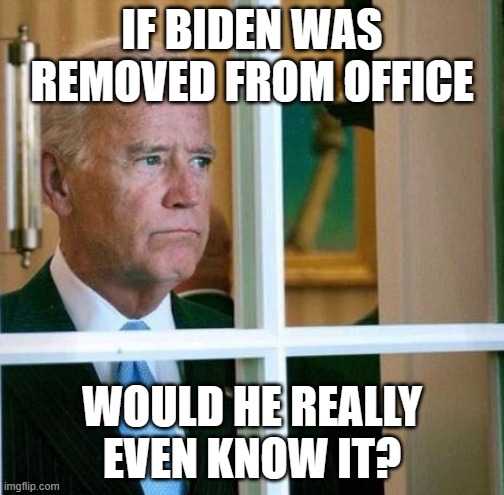 Sad Joe Biden | IF BIDEN WAS REMOVED FROM OFFICE; WOULD HE REALLY EVEN KNOW IT? | image tagged in sad joe biden | made w/ Imgflip meme maker