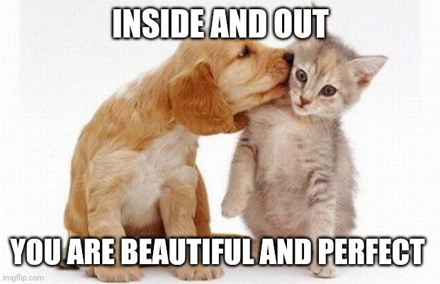 Puppy kisses kitten | INSIDE AND OUT; YOU ARE BEAUTIFUL AND PERFECT | image tagged in puppy kisses kitten | made w/ Imgflip meme maker