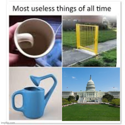Most useless things | image tagged in most useless things | made w/ Imgflip meme maker