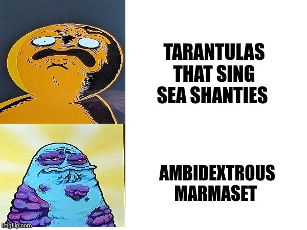 Tarantulas that sing sea shanties or ambidextrous marmoset | TARANTULAS THAT SING SEA SHANTIES; AMBIDEXTROUS MARMOSET | image tagged in boggo and boe gross faces | made w/ Imgflip meme maker