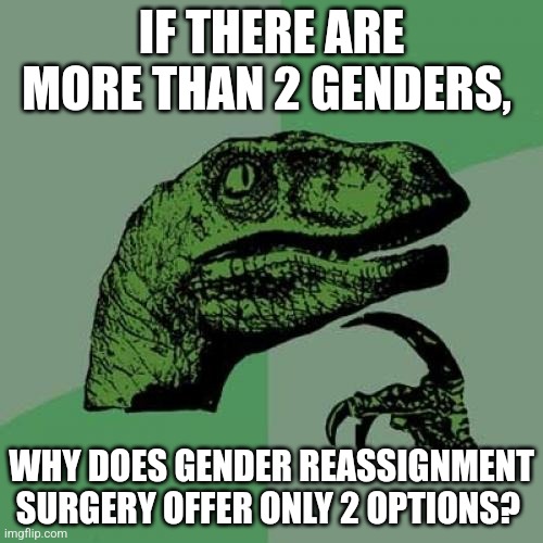 Philosoraptor Meme | IF THERE ARE MORE THAN 2 GENDERS, WHY DOES GENDER REASSIGNMENT SURGERY OFFER ONLY 2 OPTIONS? | image tagged in memes,philosoraptor | made w/ Imgflip meme maker